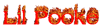 Lil Pooke GIF 3